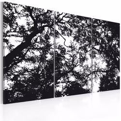 Planete Discount PD9145-120-80, Noir, Blanc, Panneaux MDF, 1200 mm, 20 mm, 800 mm