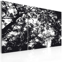 Tableau Forêt dense - PD9145-120-80