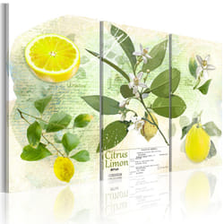 Tableau Nature morte Fruit: lemon - PD11854-120-80