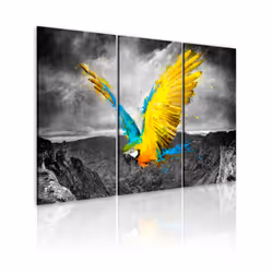 Planete Discount PD8326-120-80, Oiseaux, Noir, Turquoise, Blanc, Jaune, Panneaux MDF, 1200 mm, 20 mm, 800 mm