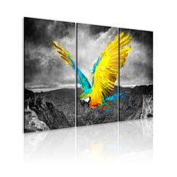 Tableau Oiseau de paradis - PD8326-120-80