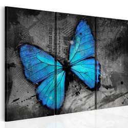 Tableau Etude d'un papillon - triptyque - PD8328-120-80