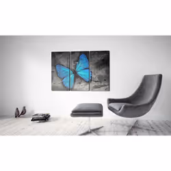 Tableau Etude d'un papillon - triptyque - PD8328-120-80