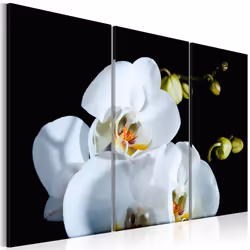 Planete Discount PD11267-90-60, Orchidées, Noir, Vert, Blanc, Panneaux MDF, 900 mm, 20 mm, 600 mm