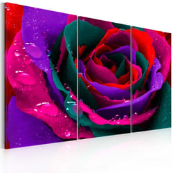 Tableau Fleurs Rose irisée - PD11268-120-80