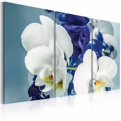 Planete Discount PD11269-120-80