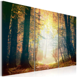 Planete Discount PD10045-90-60 tableau