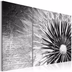 Planete Discount PD11272-120-80, Fleurs variées, Noir, Blanc, Panneaux MDF, 1200 mm, 20 mm, 800 mm