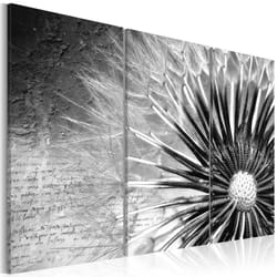 Tableau Fleurs pissenlit (noir et blanc) - PD11272-120-80