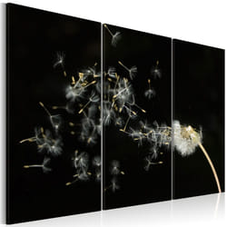 Tableau Fleurs Pissenlit - fugacité du moment - PD11274-120-80