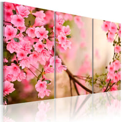 Tableau Fleurs Fleur de cerisier - PD11275-120-80