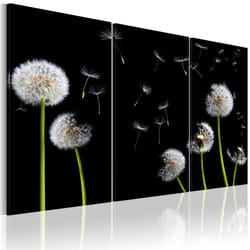 Tableau Fleurs Famille de pissenlits - PD11276-120-80