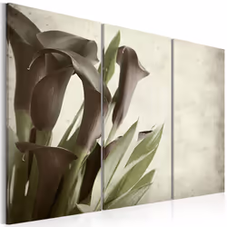 Planete Discount PD11277-120-80, Callas, Vert, Gris, Violet, Panneaux MDF, 1200 mm, 20 mm, 800 mm