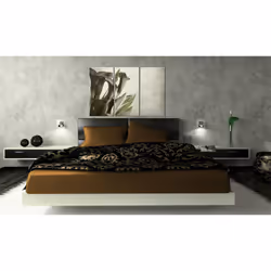 Tableau Fleurs callas - vintage - PD11277-120-80