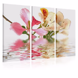 Planete Discount PD11278-120-80, Orchidées, Crème, Vert, Rose, Blanc, Jaune, Panneaux MDF, 1200 mm, 20 mm, 800 mm