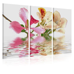 Planete Discount PD11278-90-60 tableau