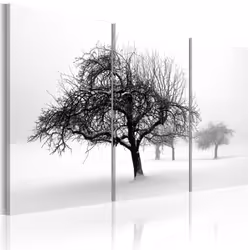 Planete Discount PD10055-120-80
