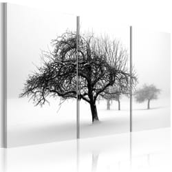 Tableau Arbres dans le brouillard - PD10055-120-80