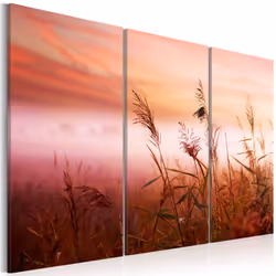 Planete Discount PD10056-120-80, Plaines et vallées, Vert, Orange, Rose, Blanc, Panneaux MDF, 1200 mm, 20 mm, 800 mm