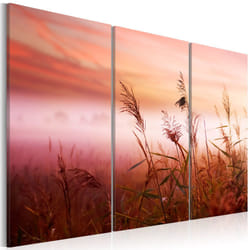 Planete Discount PD10056-90-60 tableau