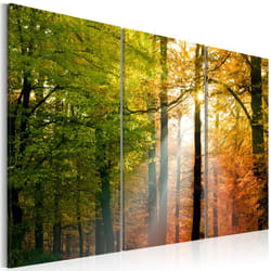 Planete Discount PD10057-60-40 tableau