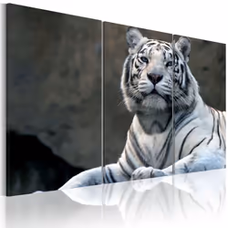 Planete Discount PD8334-120-80, Chats, Gris, Panneaux MDF, 1200 mm, 20 mm, 800 mm