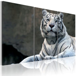 Tableau Tigre blanc - PD8334-120-80