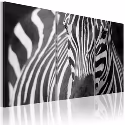 Planete Discount PD8335-120-80, Zèbres, Noir, Blanc, Panneaux MDF, 1200 mm, 20 mm, 800 mm