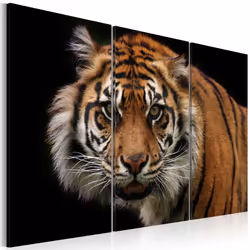Planete Discount PD8336-120-80, Chats, Noir, Marron, Blanc, Panneaux MDF, 1200 mm, 20 mm, 800 mm