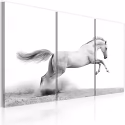 Planete Discount PD8337-120-80, Chevaux, Noir, Blanc, Panneaux MDF, 1200 mm, 20 mm, 800 mm