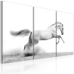 Tableau Cheval au galop - PD8337-120-80