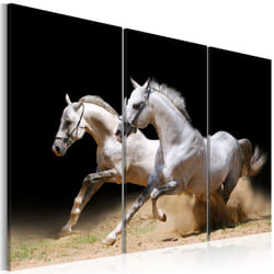 Tableau chevaux - force et dynamique - PD8338-120-80