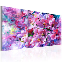 Planete Discount PD11284-60-30 tableau