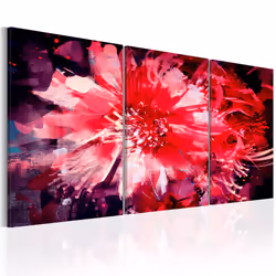 Planete Discount PD11287-120-60