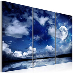 Planete Discount PD10059-90-60 tableau