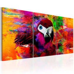 Tableau Jungle of Colours - PD8344-120-60