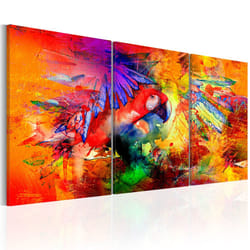 Tableau Colourful Parrot - PD8347-120-60