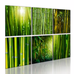 Planete Discount PD12612-120-80, Vert, Panneaux MDF, 1200 mm, 20 mm, 800 mm