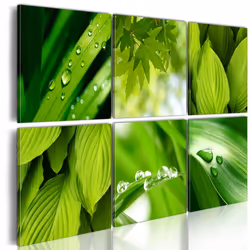 Planete Discount PD10070-120-80, Forêt, Vert, Panneaux MDF, 1200 mm, 20 mm, 800 mm