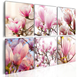 Tableau Fleurs Magnolias dans le Sud - PD11288-120-80