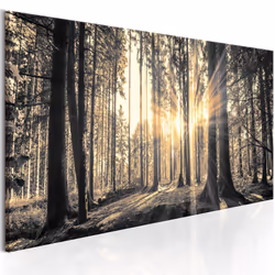 Planete Discount PD10071-150-50, Forêt, Gris, Jaune, Panneaux MDF, 1500 mm, 20 mm, 500 mm
