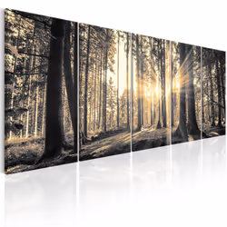 Planete Discount PD10072-225-90, Forêt, Noir, Orange, Panneaux MDF, 2250 mm, 20 mm, 900 mm