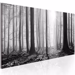 Planete Discount PD10081-135-45, Forêt, Noir, Blanc, Panneaux MDF, 1350 mm, 20 mm, 450 mm
