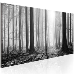 Tableau Black and White Forest - PD10081-150-50
