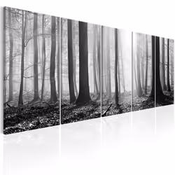 Planete Discount PD10082-225-90, Forêt, Noir, Blanc, Panneaux MDF, 2250 mm, 20 mm, 900 mm