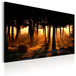 Planete Discount PD10094-90-60 tableau