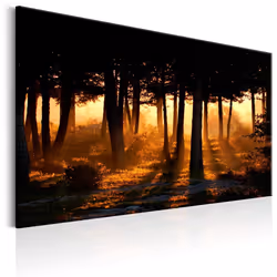 Planete Discount PD10094-120-80, Forêt, Marron, Vert, Jaune, Panneaux MDF, 1200 mm, 20 mm, 800 mm
