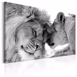 Planete Discount PD8378-120-80, Animaux divers, Noir, Blanc, Panneaux MDF, 1200 mm, 20 mm, 800 mm