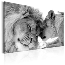 Tableau Lion's Love - PD8378-120-80