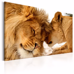 Planete Discount PD8379-120-80, Animaux divers, Marron, Blanc, Panneaux MDF, 1200 mm, 20 mm, 800 mm